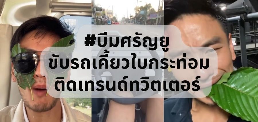 บีมศรัญยู, Nextareas