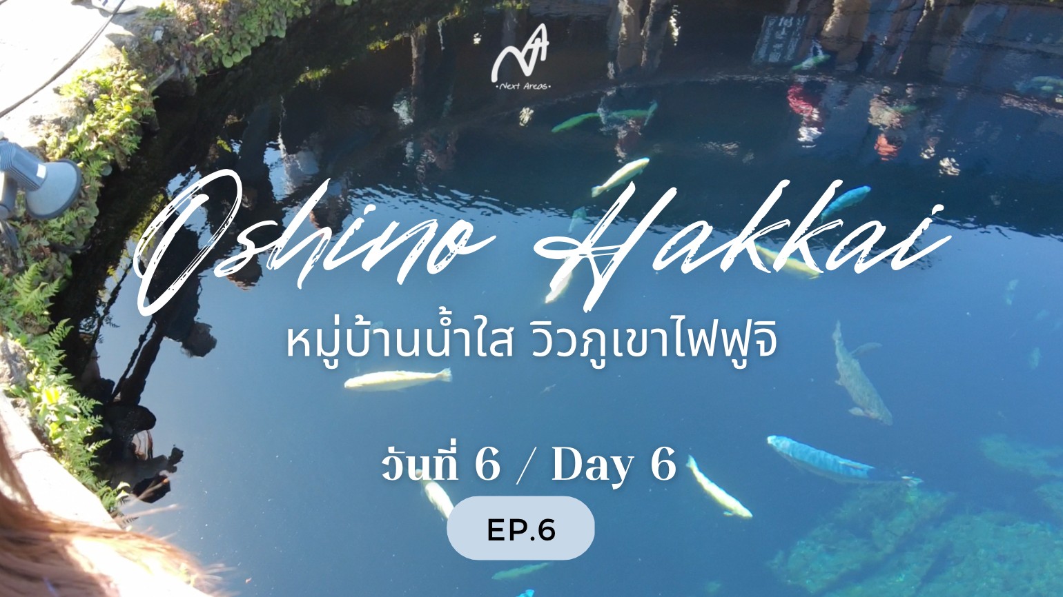 [เน็กซ์แอริย๊ะ] วันที่ 6 – แผนเที่ยวญี่ปุ่น 10 วัน แบบมีตั๋ว JR Rail Pass 7 วัน เริ่มที่ฟูกุโอกะ – โอซาก้า – โตเกียว – ขับรถเล่นรอบภูเขาไฟฟูจิ – จบทริปฟูกุโอกะ